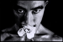 Mishima sguardo