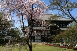 Tōdaiji 