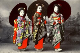 geisha